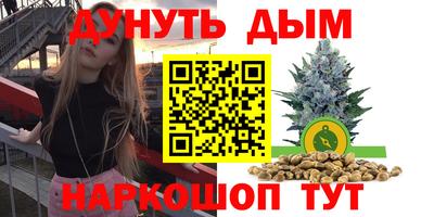 индика Апшеронск