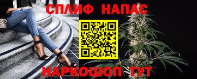 индика Апшеронск