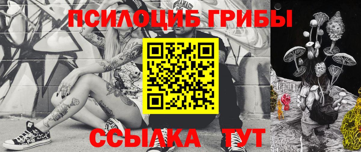 Псилоцибиновые грибы Psilocybine cubensis  Вход с VPN  Галлюциногенные грибы GOLDEN TEACHER  Аша 